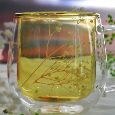 품질 안경을 마시는 대용량 이중 레이어 체조 선수 공장